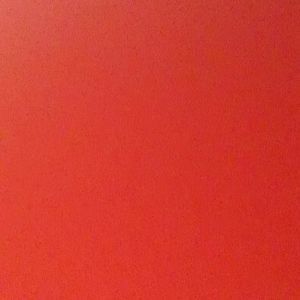 Meet your Posher, Mateo